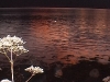 summer-light_-kathi-and-ragne_2000