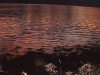 summer-light_kathi-and-ragne_2_2000