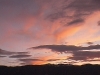 summerlight_2