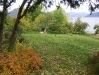 the-warmer-climate-by-the-fjord-makes-it-an-ideal-place-to-grow-apples_october2008_resize